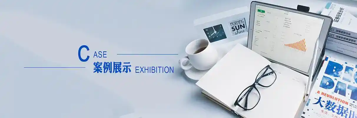 德州软件开发